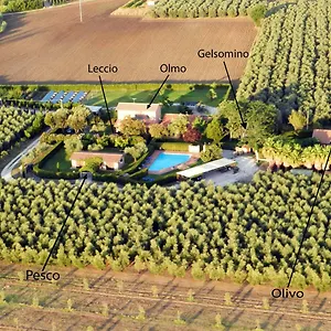 https://casa-olmo.it-tuscanyhotel.com
